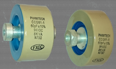 CCG81-1